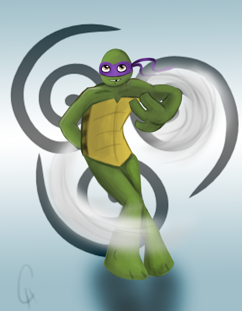 TMNT Avatar Series-Donnie: Air