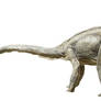 Diplodocus I