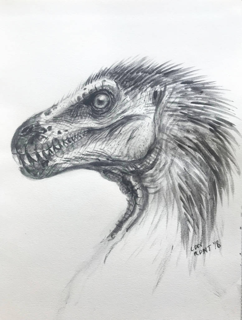 Raptor sketch by LDNRDNT on DeviantArt