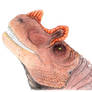 Ceratosaurus head color 1