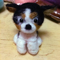 Needle Felted Cracker