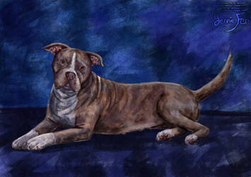 Rosie Commission