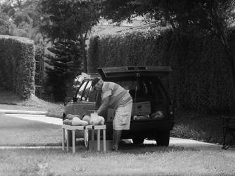 Fruit Stand