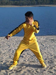 Game of death (cosplay)