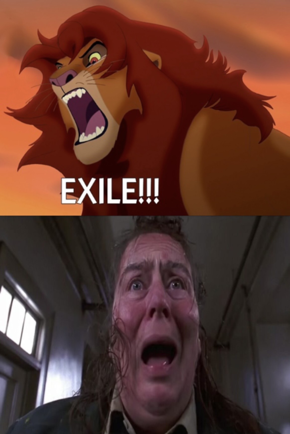 Simba Getting Exiled Simba exiles Trunchbull by Gatofh on DeviantArt