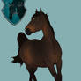 .:Holsteiner Horse Import 10:. CLOSED