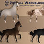 Zorxull Warmblood|Import Batch | 1/4 OPEN