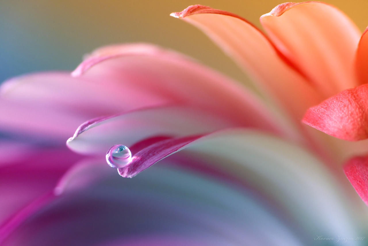 Colors and curves