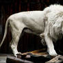 White lion and broken pons