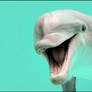 Smile for camera, please