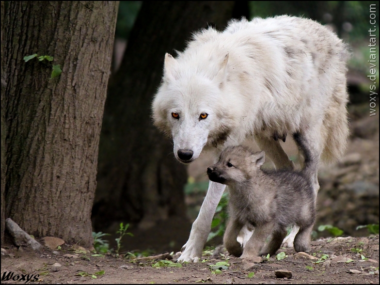 I trust you, mommy...