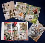 TWO LAST PHOTOBOOKS AVAILABLE! by woxys