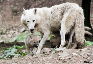 That's one happy mom...