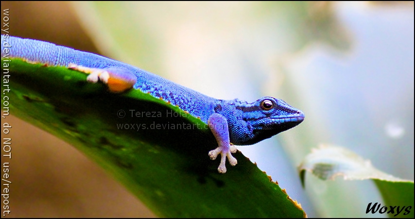 This male knows how to look amazing!