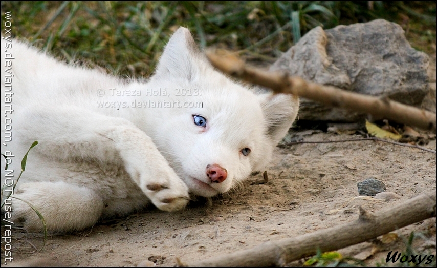 Please, please, give me that stone