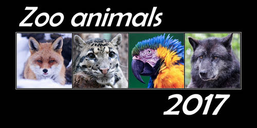 Calendar Zoo Animals 2017