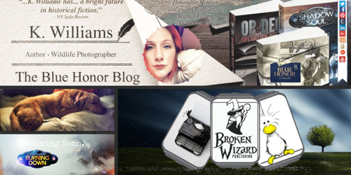 Tumbler Header - Blue Honor Blog