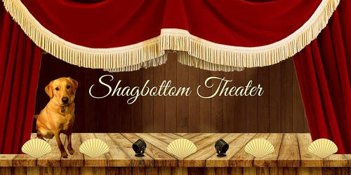 Shagbottom Theater Header