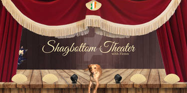 2019 Shagbottom Theater Header