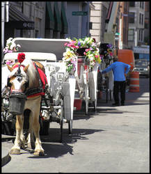 Horse and Carriage