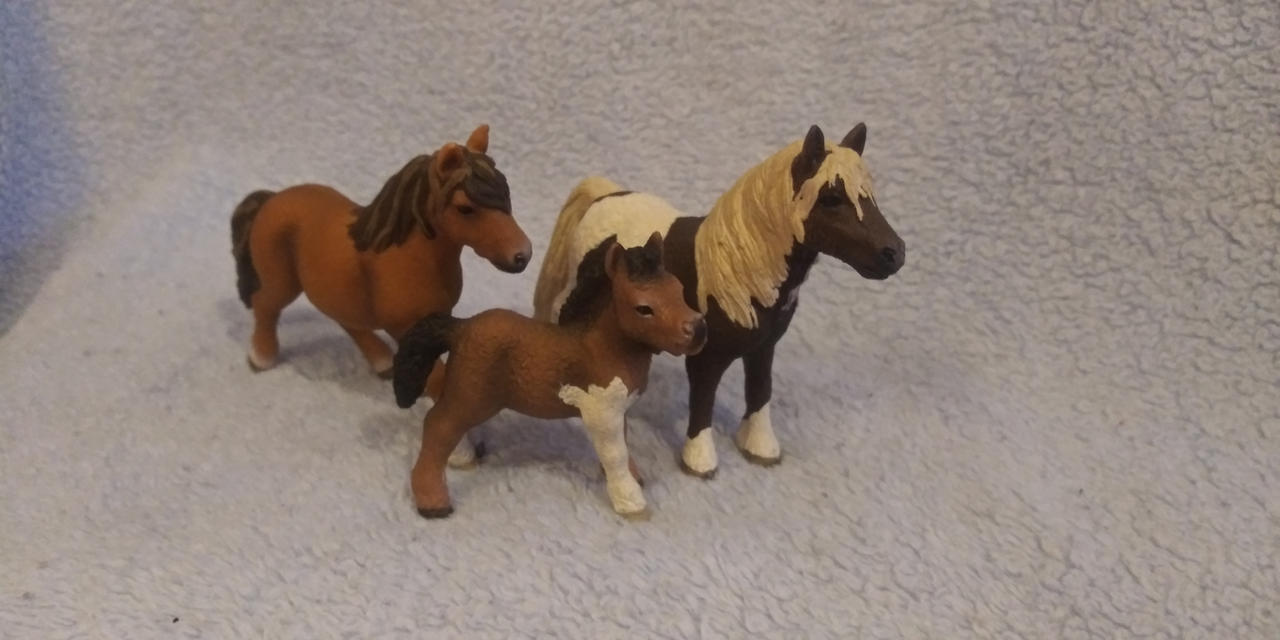 Schleich Shetland Pony Family by IsabellaMarie07 on DeviantArt