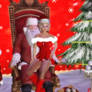 Molly Christmas Second Life 2017