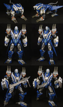 Custom Transformers RID Thundertron