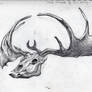 Irish Elk Skull