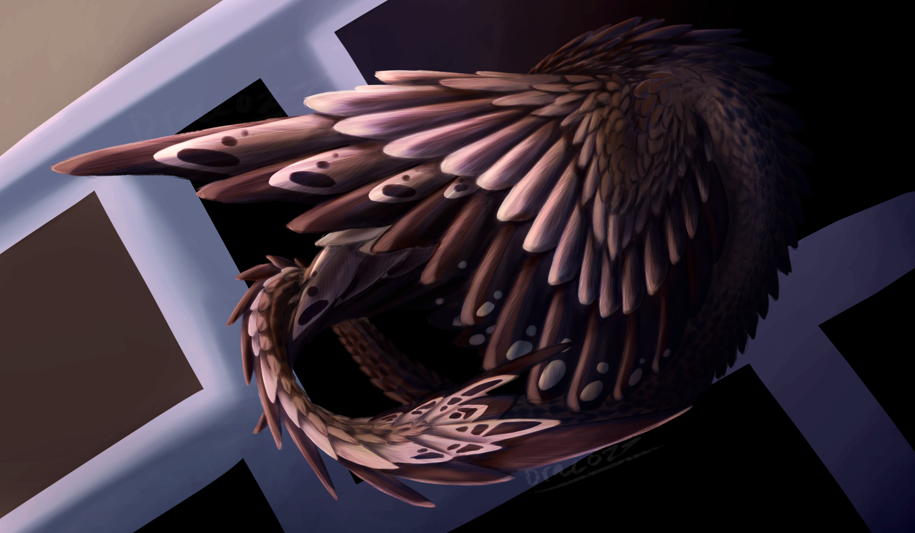 Under Wing Hidden under Wings by DracoZ7 on DeviantArt