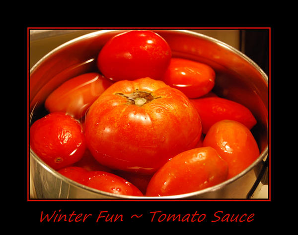 Winter Fun... Tomato Sauce