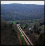 Tracks down by the stream... by LadyAliceofOz