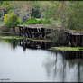 Reflections in the Atchafalaya