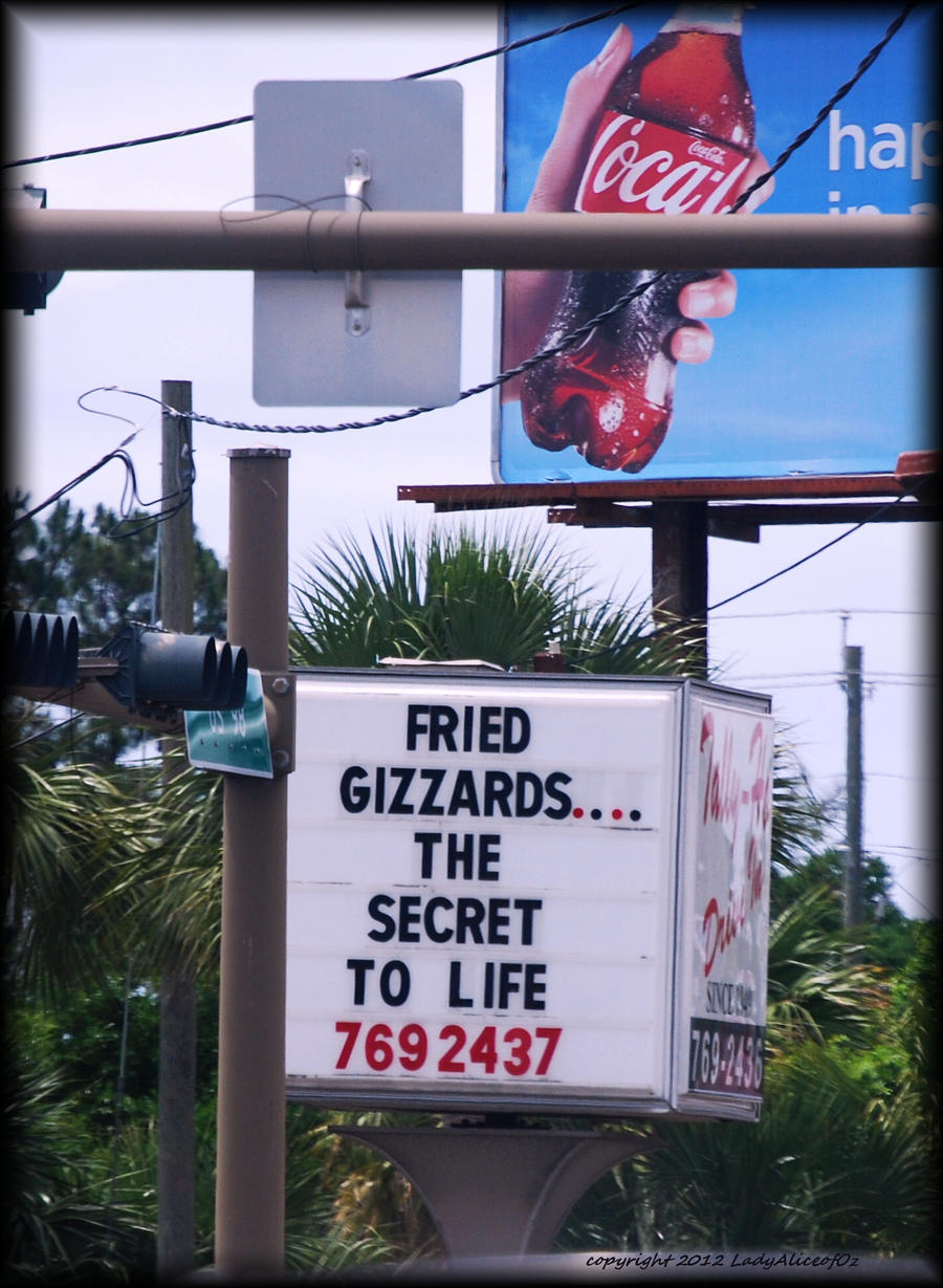 The secret of life... fried gizzards! LOL