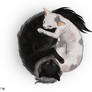 Yin and Yang