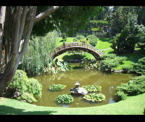 Japanese Garden Pond