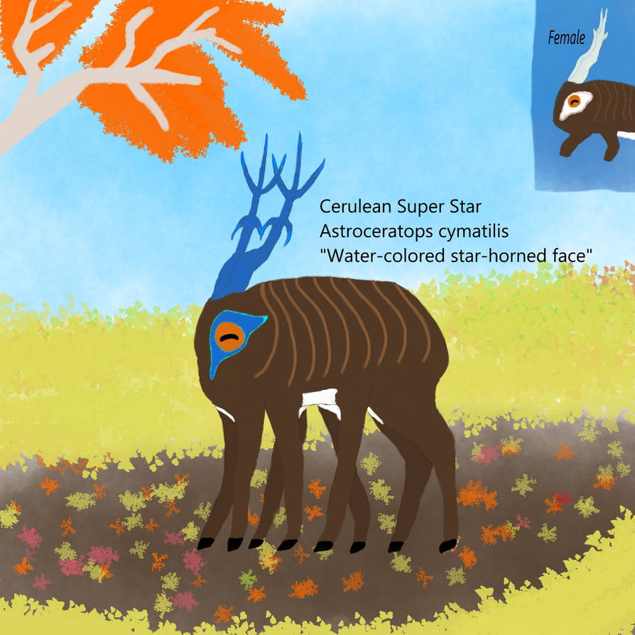 Cerulean Super Star by Payresse on DeviantArt