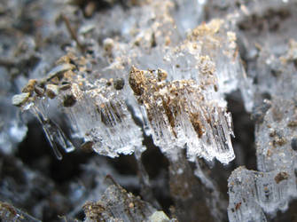 Natural Ice 1