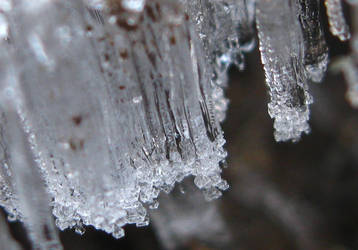 Natural Ice 2