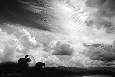 Chitwan Monsoon by LindelCaine