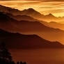 Shades of Dawn