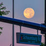 Sturgeon Moon Setting Over Schaumburg Town Square3