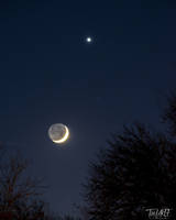The Waxing Crescent Moon and Venus