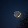 Waxing Crescent Moon