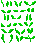 Leaf and stem template