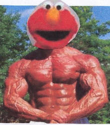 Buff Elmo