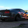 FORD MUSTANG 5.0 - CLASSIC RAZOR VINYL