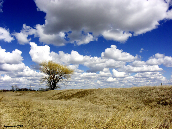 Lone Prairie