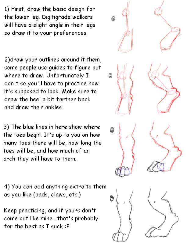 Digitigrade Turorial