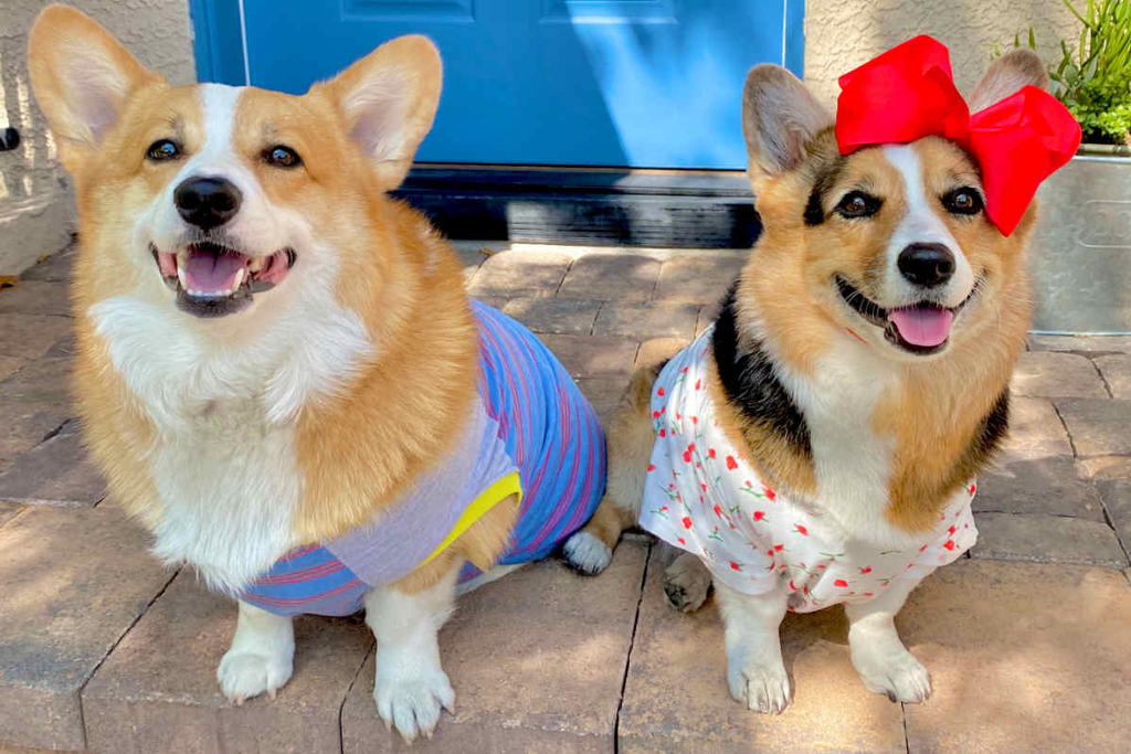 My Favorite Youtube Stars, Hammy and Olivia by LuckyLadyXandra on ...