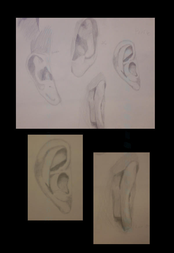 Learning to Draw - Ear Study by Maruki on DeviantArt